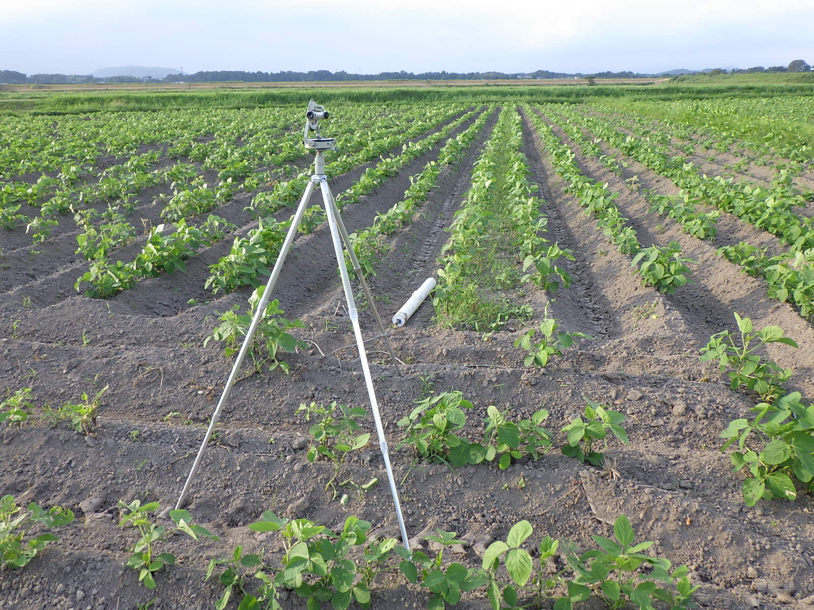 電磁探査の測定例3