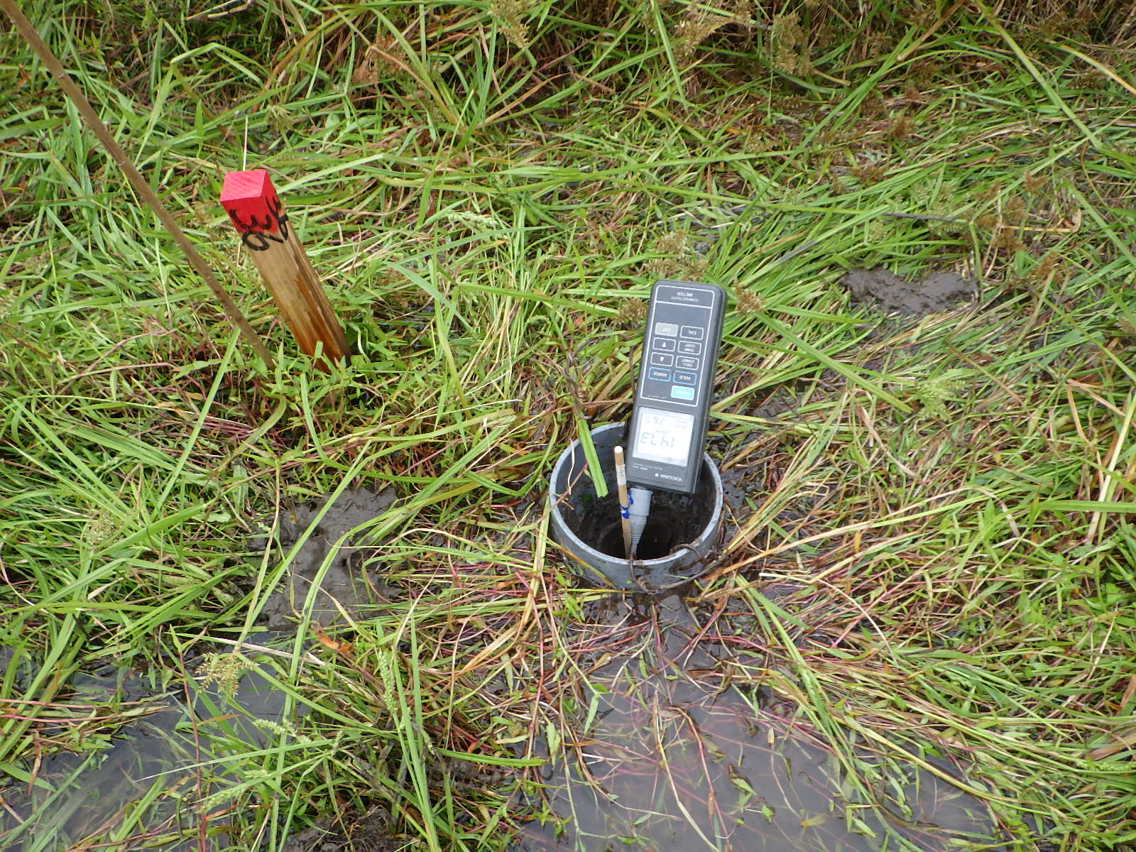 地温探査の測定例1