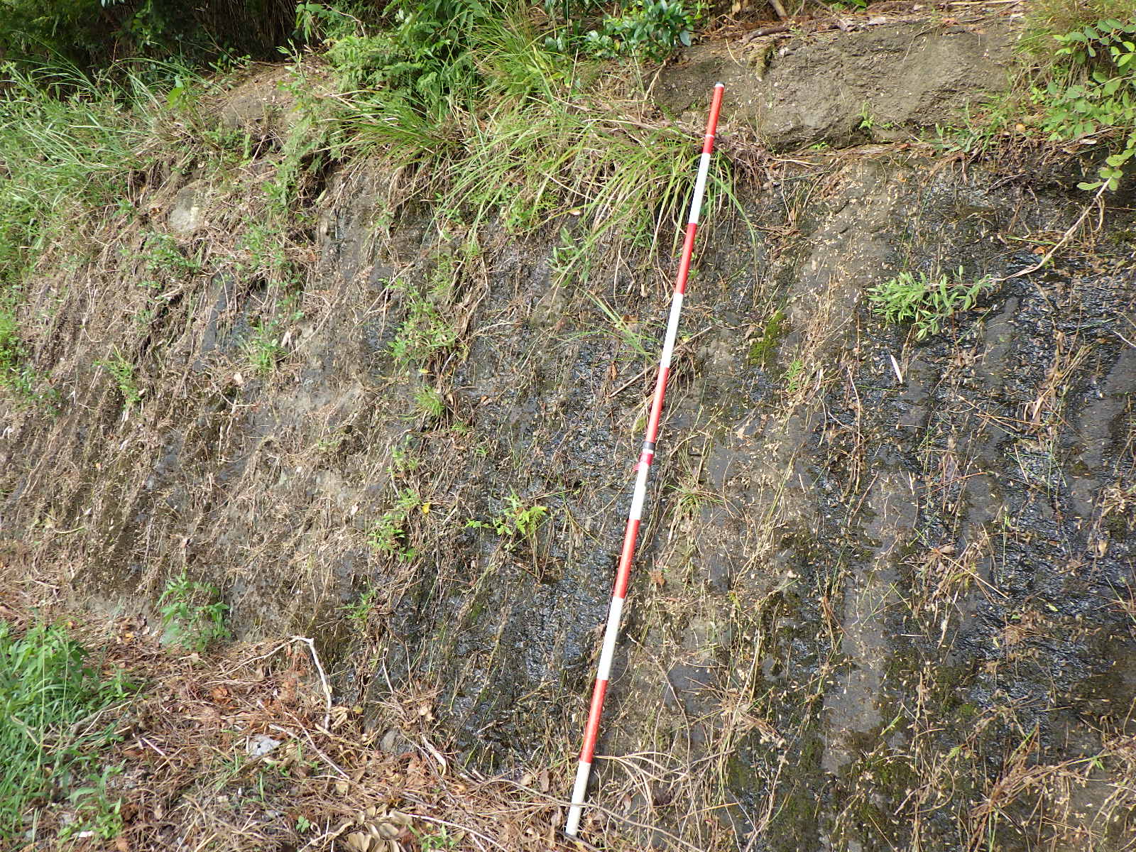 各種物理探査の測定例1